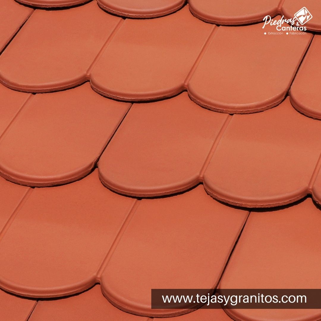Tejafrancesalisa Terracota Piedras